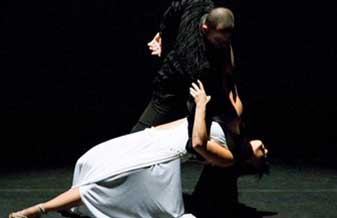 Force Style - Foto 1