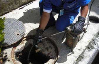 DLimp Desinsetizadora - Foto 1