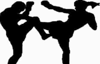 Maison Academia - Foto 1