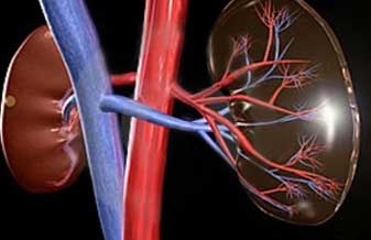 Consultório Doutora Cláudia Alves Moitinho - Foto 1