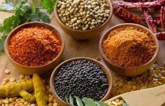 Márcia Siena Paraguassu - Foto 1