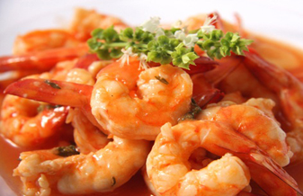 Céu Da Terra - Foto 1