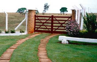 Elton Lima Da Silva - Foto 1