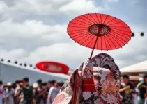 Festival da Cultura Japonesa