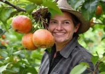 tecnologia e produtividade da fruta