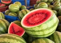 melancia