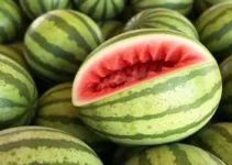 melancia