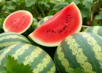 Últimas noticias de Teixeira de Freitas