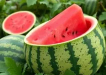 melancia