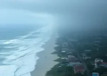 vendaval