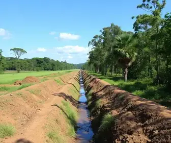 drenagem do futuro Parque Ecológico