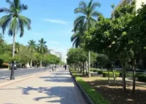 pavimentação Avenida Panhossi