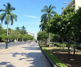 pavimentação Avenida Panhossi
